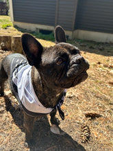 Load image into Gallery viewer, Laputa (Castle In the Sky) Studio Ghibli Bandana