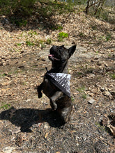 Load image into Gallery viewer, Laputa (Castle In the Sky) Studio Ghibli Bandana