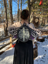 Load image into Gallery viewer, Pride Wings