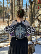 Load image into Gallery viewer, Pride Wings