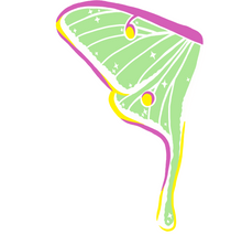 Load image into Gallery viewer, Additional Moth Wings