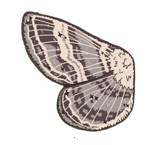 Load image into Gallery viewer, Additional Moth Wings