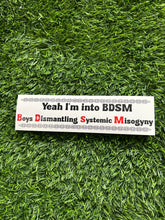 Load image into Gallery viewer, Car Bumper Stickers
