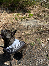 Load image into Gallery viewer, Laputa (Castle In the Sky) Studio Ghibli Bandana
