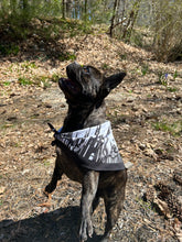 Load image into Gallery viewer, Laputa (Castle In the Sky) Studio Ghibli Bandana
