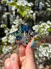 Load image into Gallery viewer, Moth Mystery Holiday Boxes
