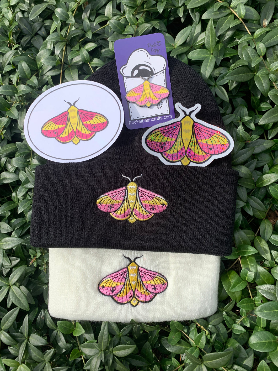 Rosy Maple Moth Bundle