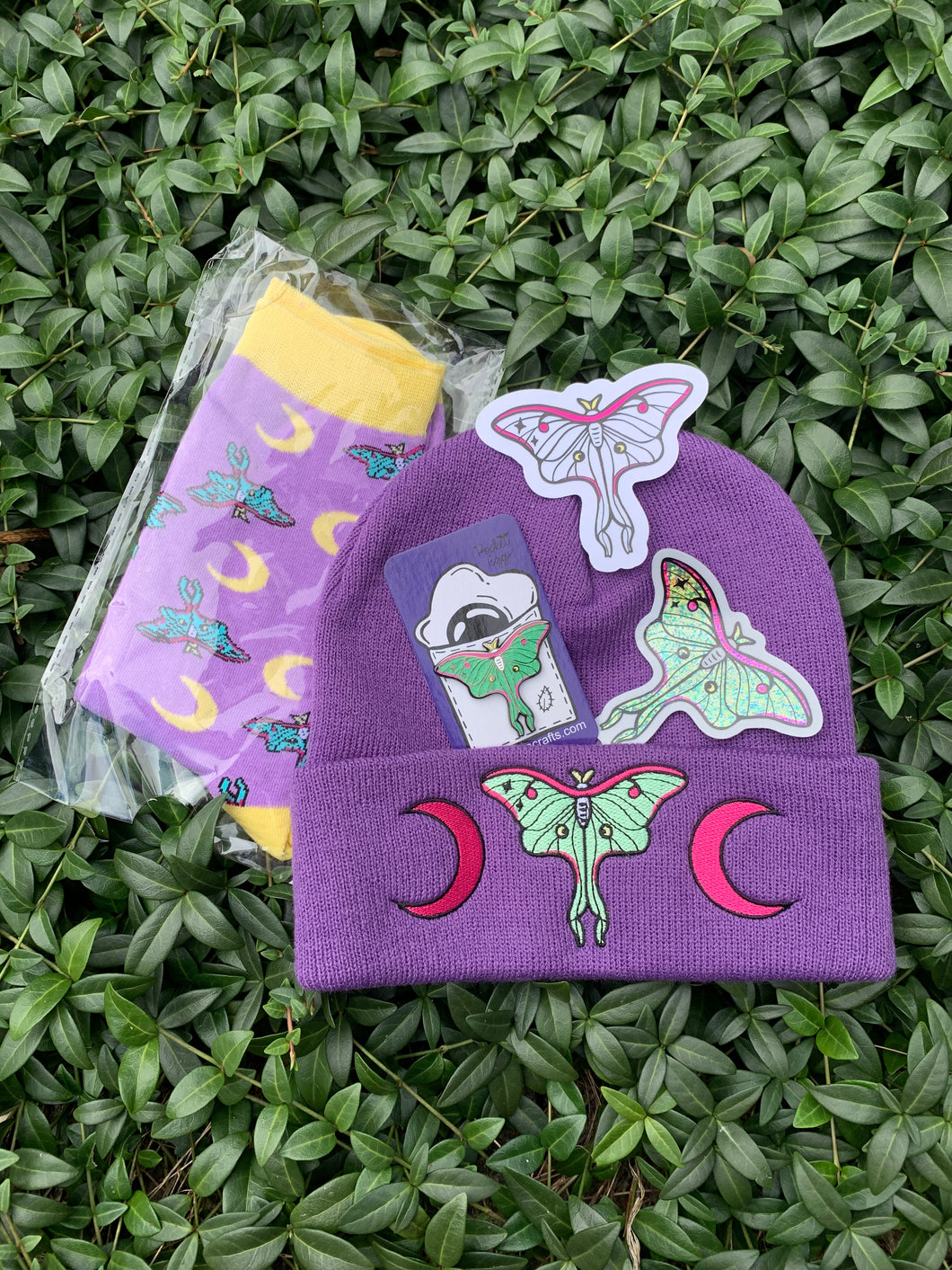 Luna Moth Bundle