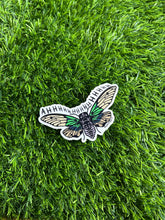 Load image into Gallery viewer, Cicada Scream Sticker

