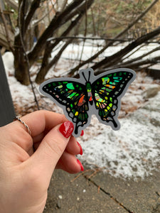 Pride Moth Stickers