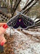 Load image into Gallery viewer, Pride Moth Stickers
