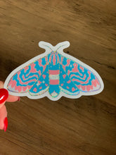 Load image into Gallery viewer, Pride Moth Stickers
