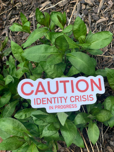 Identity Crisis Sticker
