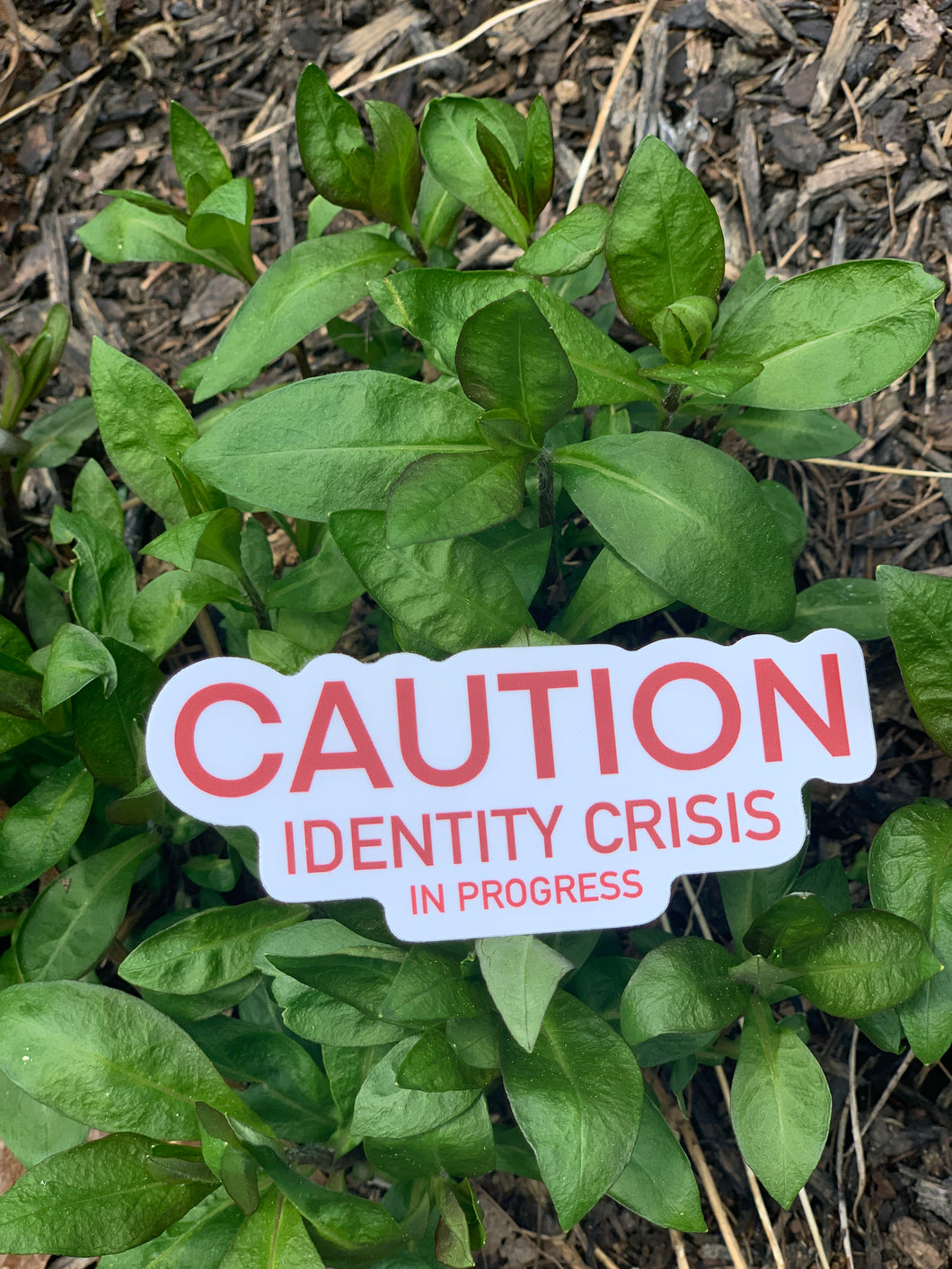 Identity Crisis Sticker