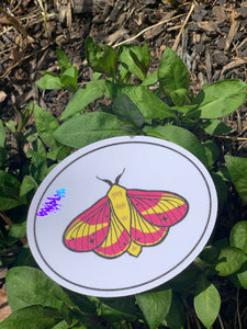 Suncatchers!