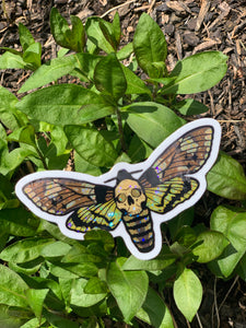 Single Glitter/Holo Moth Sticker
