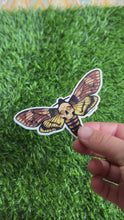 Load and play video in Gallery viewer, Death Moth Sticker
