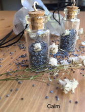 Load image into Gallery viewer, Bottle Spell Necklaces
