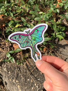 Single Glitter/Holo Moth Sticker