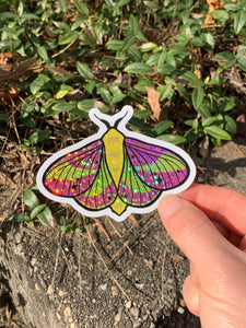 Single Glitter/Holo Moth Sticker