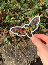 Load image into Gallery viewer, Single Glitter/Holo Moth Sticker
