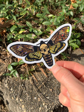 Load image into Gallery viewer, Single Glitter/Holo Moth Sticker
