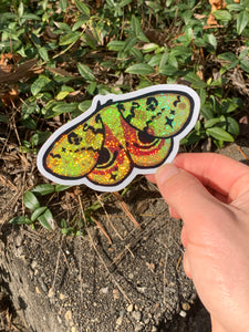 Single Glitter/Holo Moth Sticker
