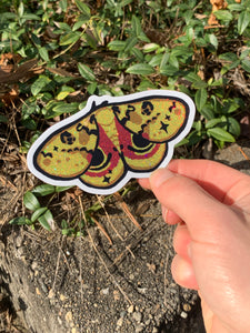 Single Glitter/Holo Moth Sticker
