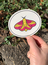 Load image into Gallery viewer, Suncatchers!
