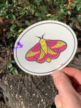 Load image into Gallery viewer, Suncatchers!
