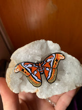 Load image into Gallery viewer, Atlas Moth Enamel Pin
