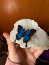 Load image into Gallery viewer, Ulysses Butterfly Enamel Pin
