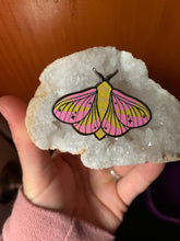 Load image into Gallery viewer, Rosy Maple Moth Enamel Pin
